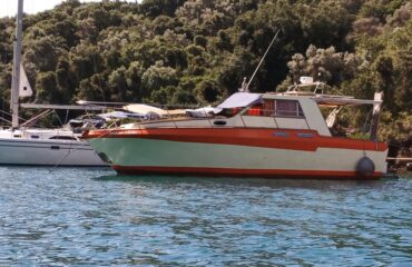 Psatheris 9.90